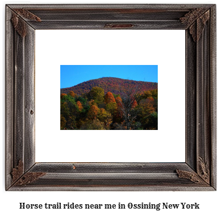 horse trail rides near me in Ossining, New York